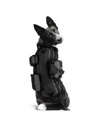 Pechera arnes de seguridad Rack & Pack para perro