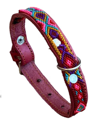 Collar Gelvic de piel para perro y gato